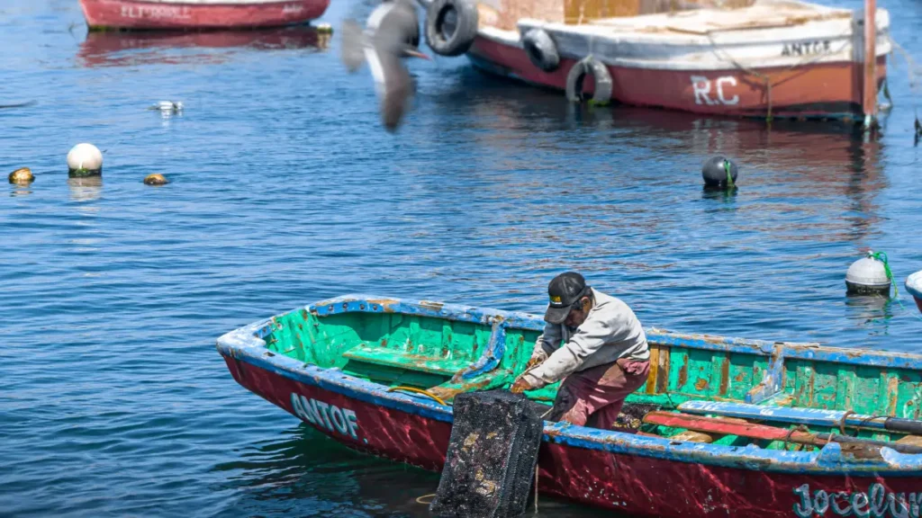 nucleogrietas.cl Equipo de Núcleo Grietas realiza investigación en Antofagasta sobre patrimonio inmaterial de la comunidad migrante