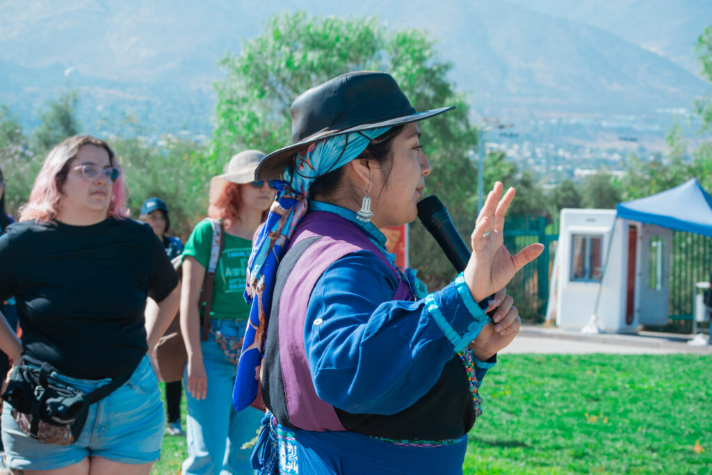 nucleogrietas.cl Proyectos
