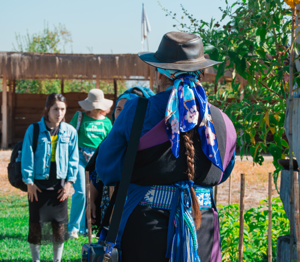 nucleogrietas.cl Proyectos