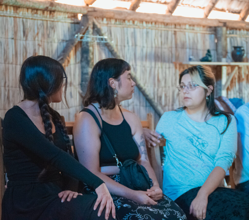 nucleogrietas.cl Proyectos