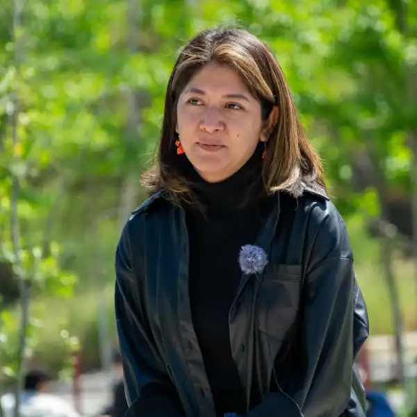 nucleogrietas.cl Investigadora mexicana visita la Universidad de Chile para intercambiar experiencias sobre niñez migrante, entrevista a la profesora e investigadora Porfiria del Rosario Bustamante de la Cruz