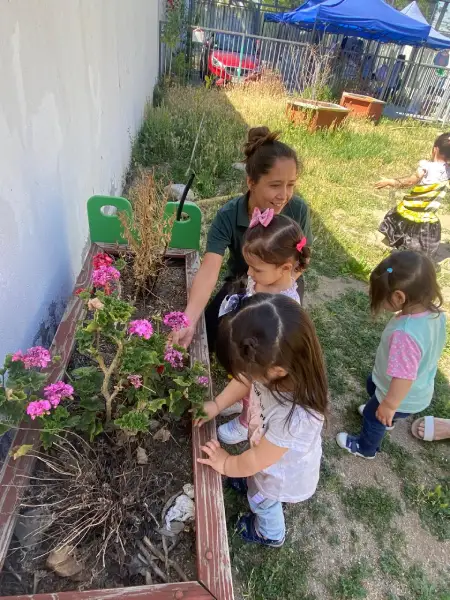 nucleogrietas.cl Proyectos