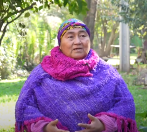 nucleogrietas.cl Proyectos