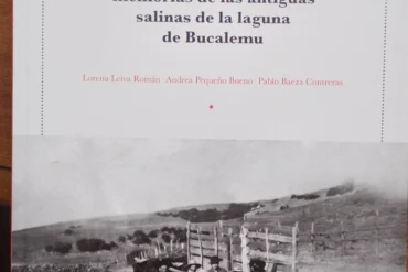 nucleogrietas.cl home