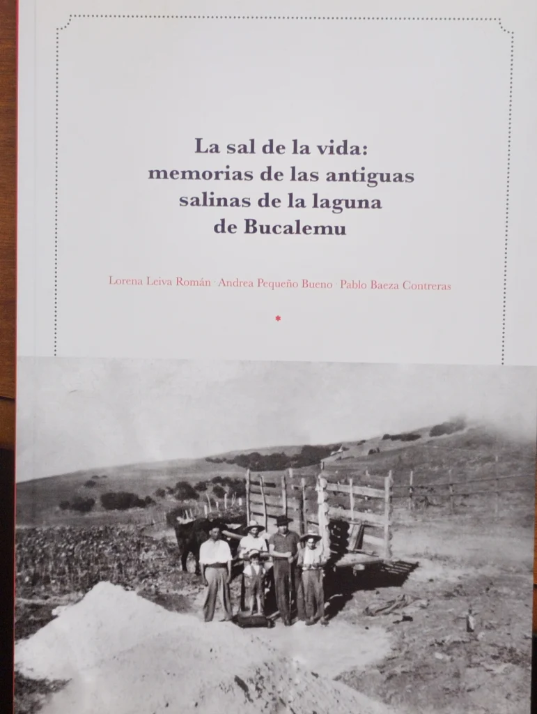nucleogrietas.cl Investigación sobre patrimonio inmaterial de Bucalemu genera resonancia en medios regionales.